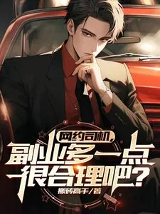 《寻龙分金踢粽子,你管这叫司机?》小说封面