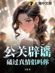 《公关辟谣?!磕过真情侣吗你?》小说封面