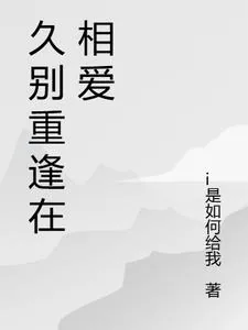 《久别重逢在相爱》小说封面