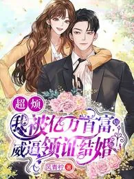 《洛妍封詹》小说封面