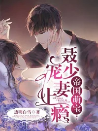 《帝国萌宝，聂少宠妻上瘾》小说封面