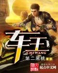 《车王》小说封面