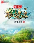 《仙家农场主》小说封面