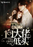 《重生之向大佬低头》小说封面