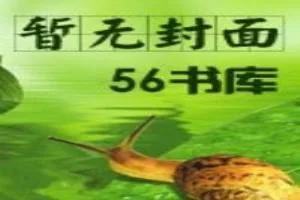《神印》小说封面