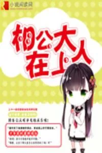 《相公大人在上》小说封面
