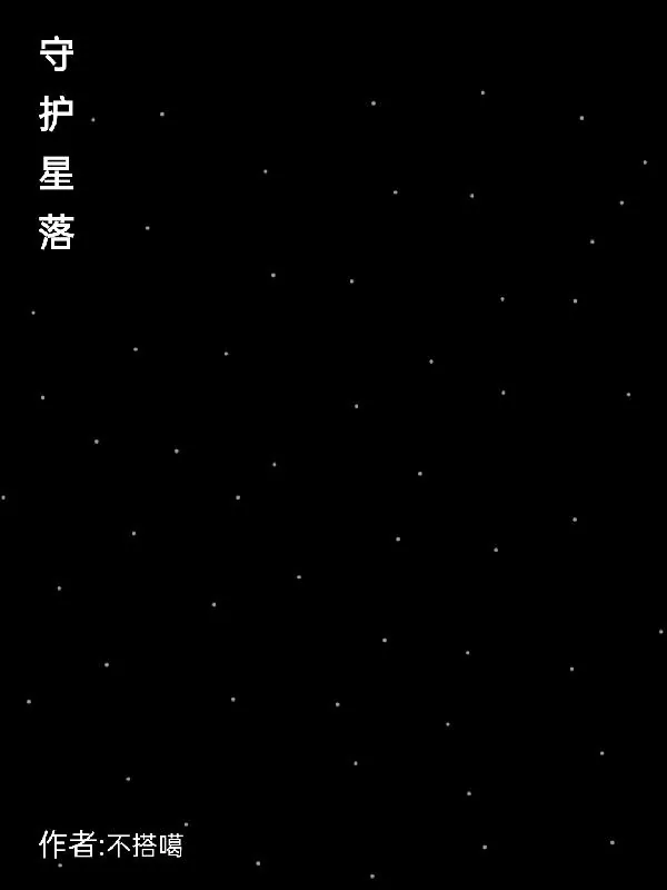 《守护星落》小说封面