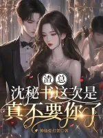《渣总,沈秘书这次是真不要你了》小说封面