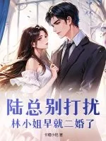 《陆总别打扰，林小姐早就二婚了》小说封面