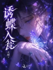 《诱蝶入瓮》小说封面