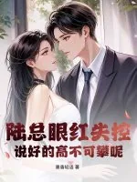 《陆总眼红失控,说好的高不可攀呢》小说封面