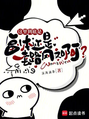 《这里到底是副本还是套路网文啊？》小说封面