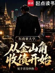 《东南亚教父,从金山角收债开始》小说封面