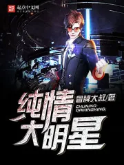 《纯情大明星》小说封面