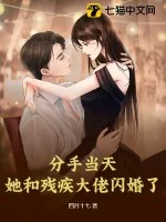 《分手当天,她和残疾大佬闪婚了》小说封面