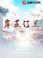 《岸芷汀兰》小说封面