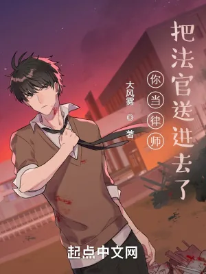 《你当律师,把法官送进去了?》小说封面
