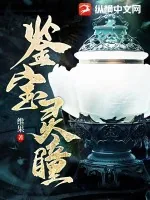 《鉴宝灵瞳》小说封面