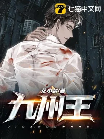 《九州王》小说封面