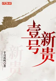 《壹号新贵》小说封面
