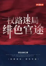 《权路迷局：绯色官途》小说封面