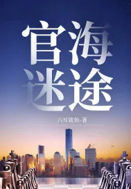 《官海迷途》小说封面