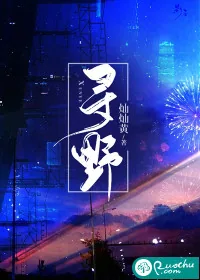 《寻野》小说封面
