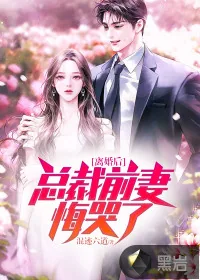 《离婚后，总裁前妻悔哭了》小说封面