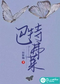 《巴特弗莱》小说封面