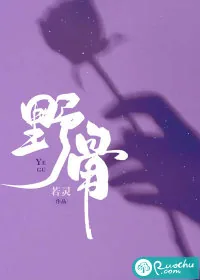 《野骨》小说封面