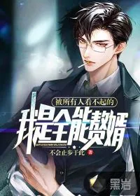 《被所有人看不起的我是全能赘婿》小说封面