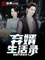 《弃婿生活录》小说封面