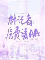 《林记者,房费请AA》小说封面