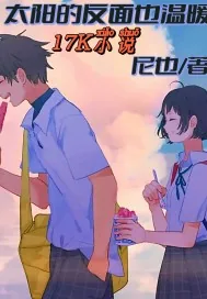 《太阳的反面也温暖》小说封面
