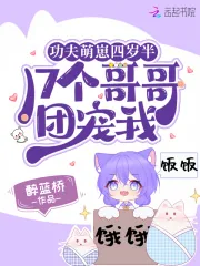 《功夫萌崽四岁半，17个哥哥团宠我》小说封面