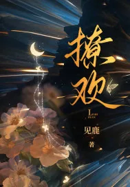 《撩欢》小说封面