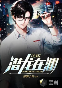 《龙婿：潜龙在渊》小说封面