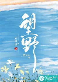 《望野》小说封面