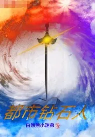 《都市钻石人》小说封面