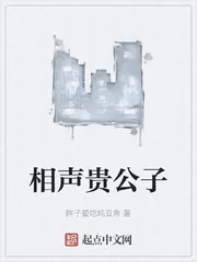 《相声贵公子》小说封面