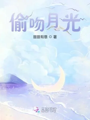 《偷吻月光》小说封面