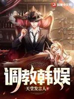 《调教韩娱》小说封面