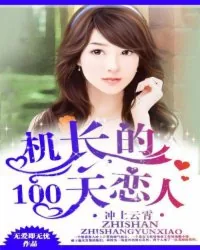 《冲上云霄：机长的100天恋人》小说封面