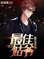 《最佳姑爷》小说封面