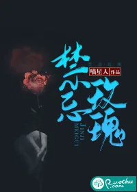 《禁忌玫瑰》小说封面