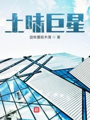 《土味巨星》小说封面
