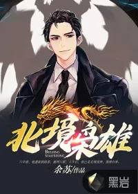 《北境枭雄》小说封面