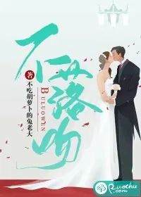 《不落吻》小说封面
