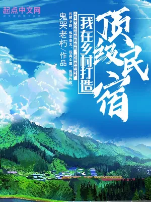 《我在乡村打造顶级民宿》小说封面