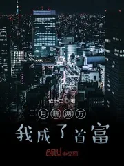 《月薪两万我成了首富》小说封面